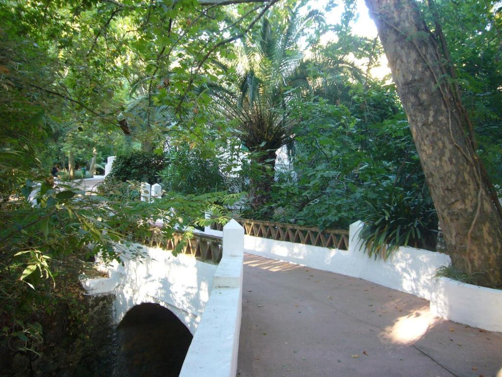 Del Balneario 3*